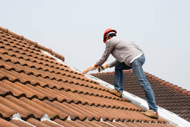 Trusted Craig, CO  Roofing repair and installation Experts