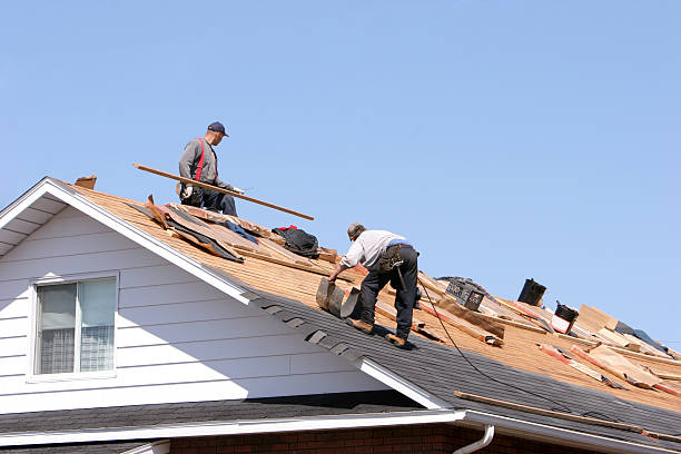 Best Hot Roofs  in Craig, CO